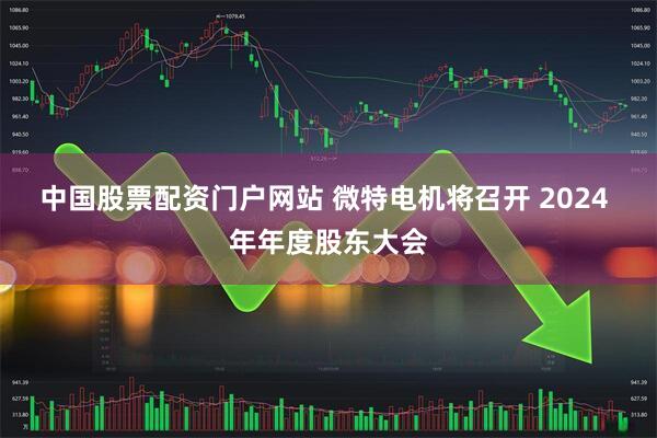 中国股票配资门户网站 微特电机将召开 2024 年年度股东大会