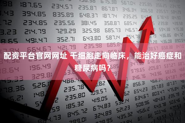 配资平台官网网址 干细胞走向临床，能治好癌症和糖尿病吗？