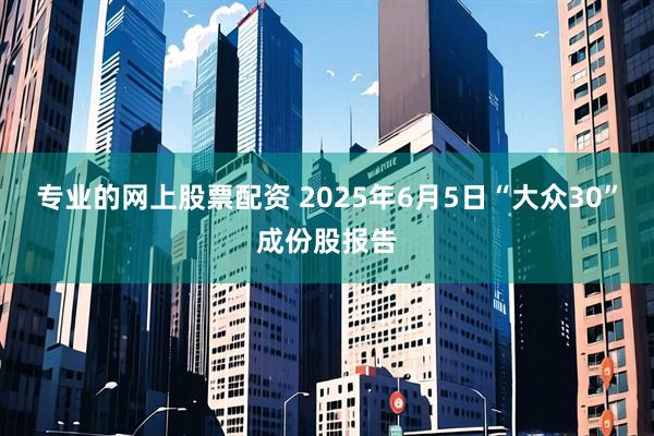 专业的网上股票配资 2025年6月5日“大众30”成份股报告