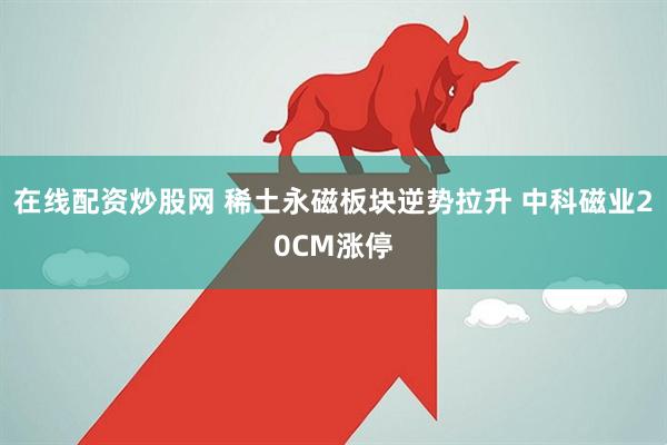 在线配资炒股网 稀土永磁板块逆势拉升 中科磁业20CM涨停