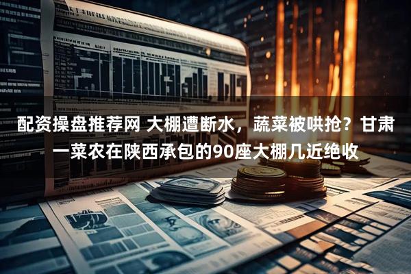 配资操盘推荐网 大棚遭断水，蔬菜被哄抢？甘肃一菜农在陕西承包的90座大棚几近绝收
